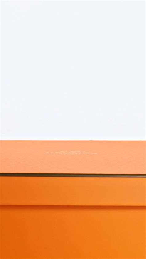 hermes astonishing orange|Astonishing Orange .